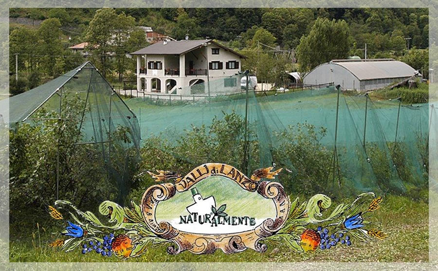 AZIENDA AGRICOLA NATURALMENTE