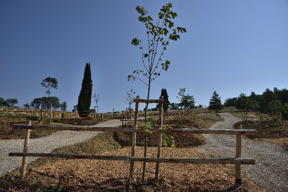 PODERE SANTA CLORINDA