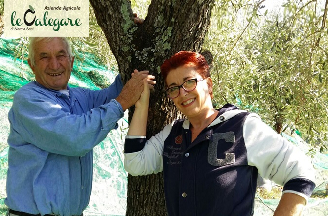 AZIENDA AGRICOLA LE CALEGARE - VIAGGI DIVINI - MOVIMENTO TURISMO DEL VINO