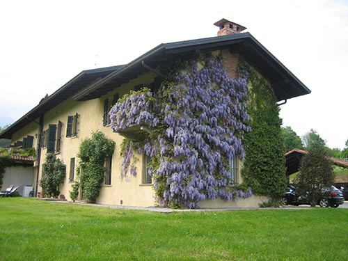 ANTICA CASCINA DEL MEDICO