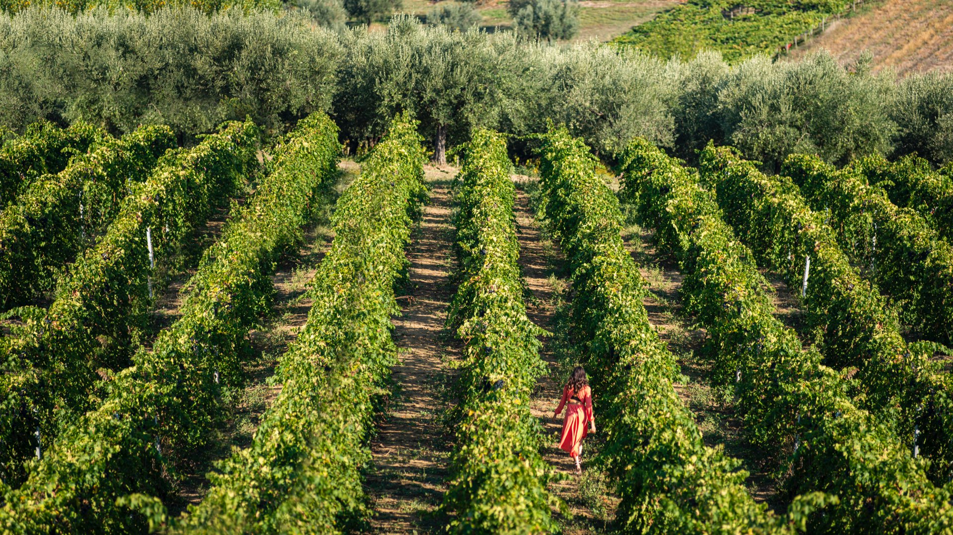 AZIENDA AGRICOLA CHIUSA GRANDE