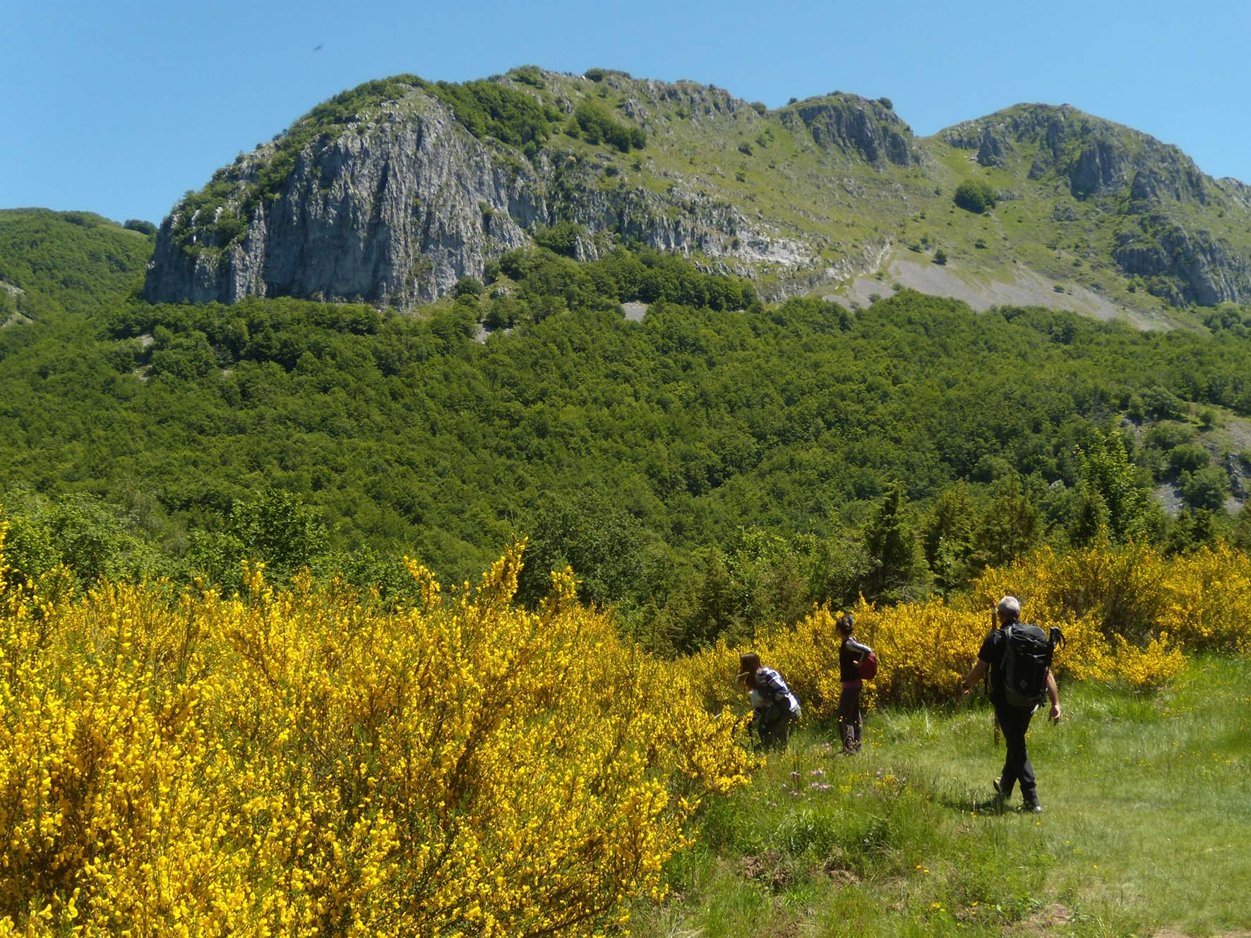 GARFAGNANA TRAVEL
