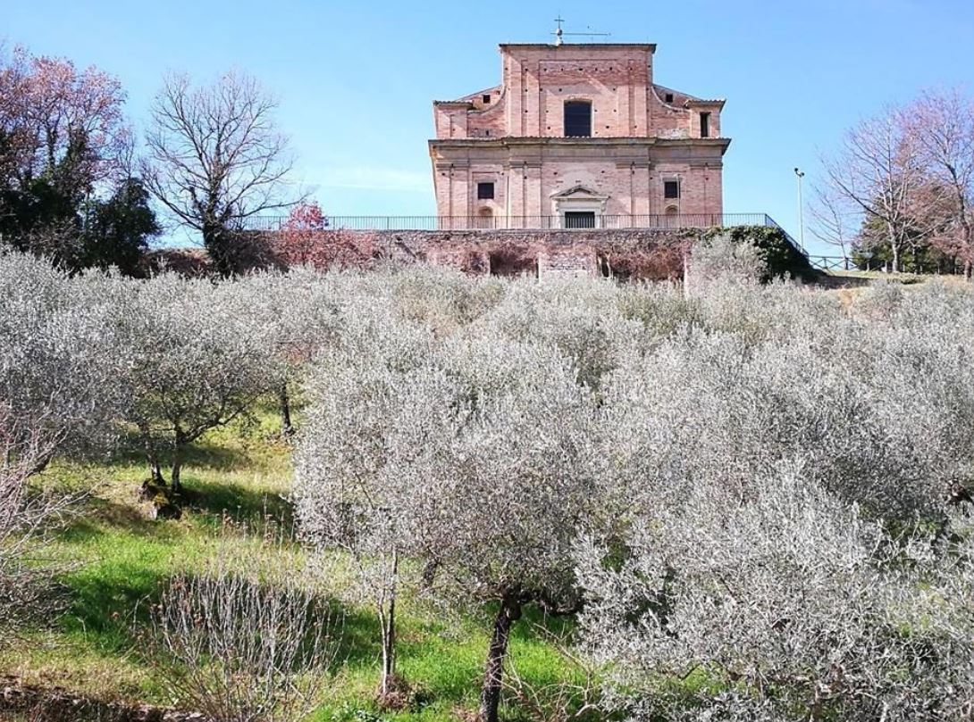 AGRITURISMO ETICO LE GRAZIE