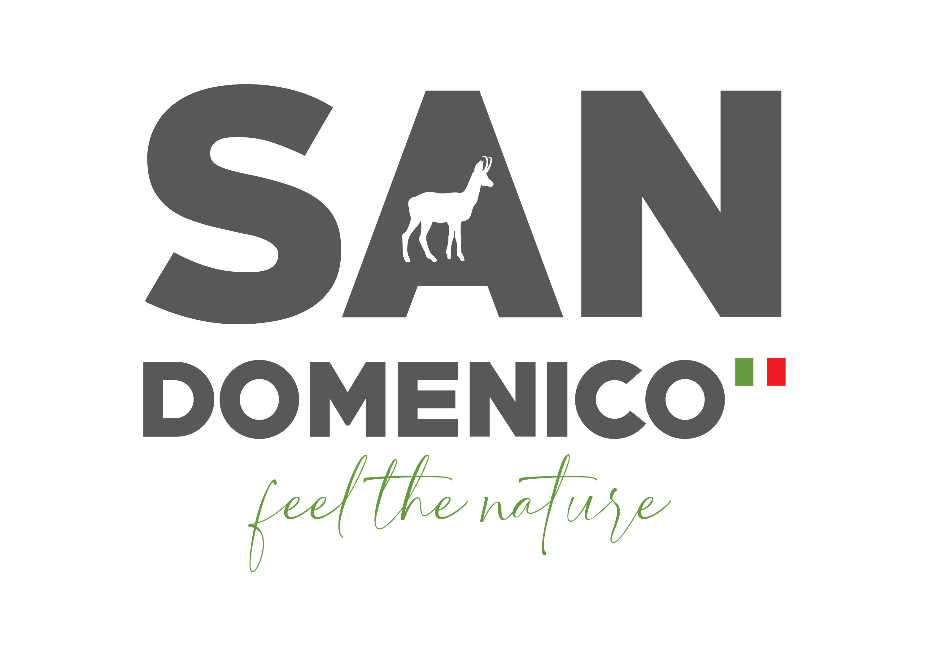 SAN DOMENICO SKI
