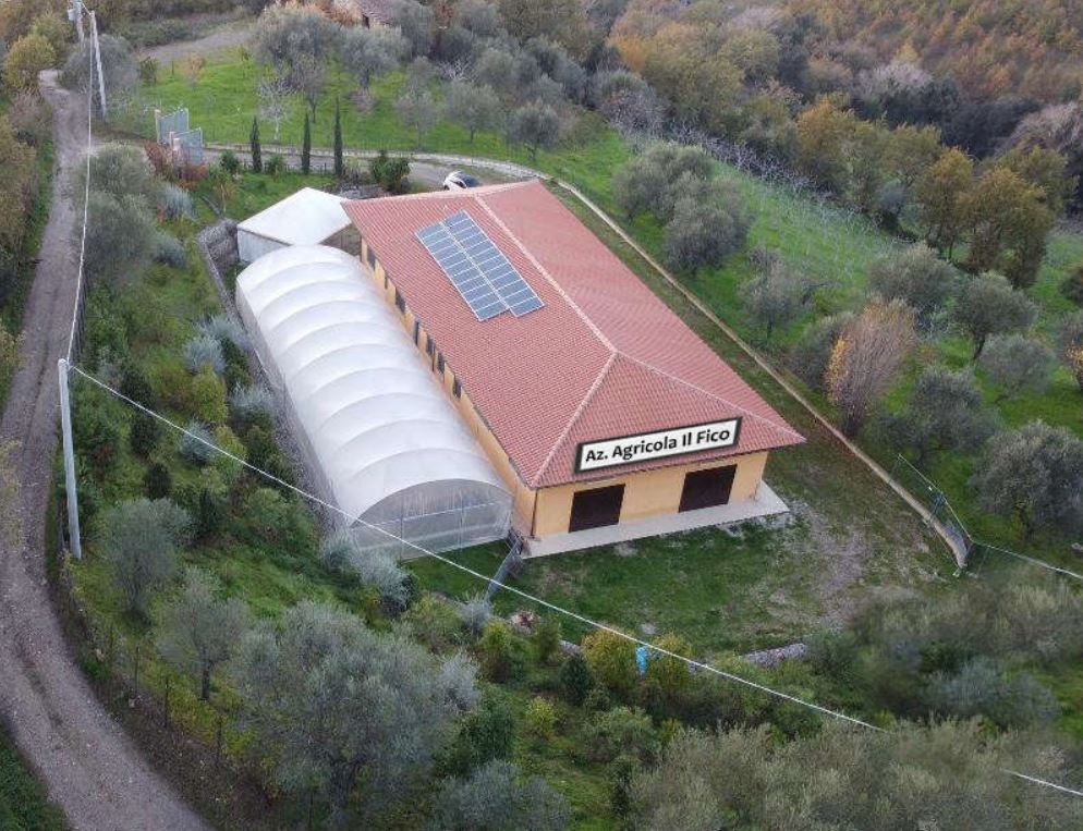 AZIENDA AGRICOLA IL FICO