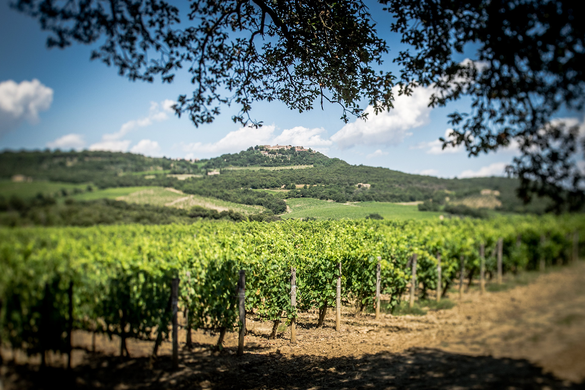 AGRICOLA SAN FELICE