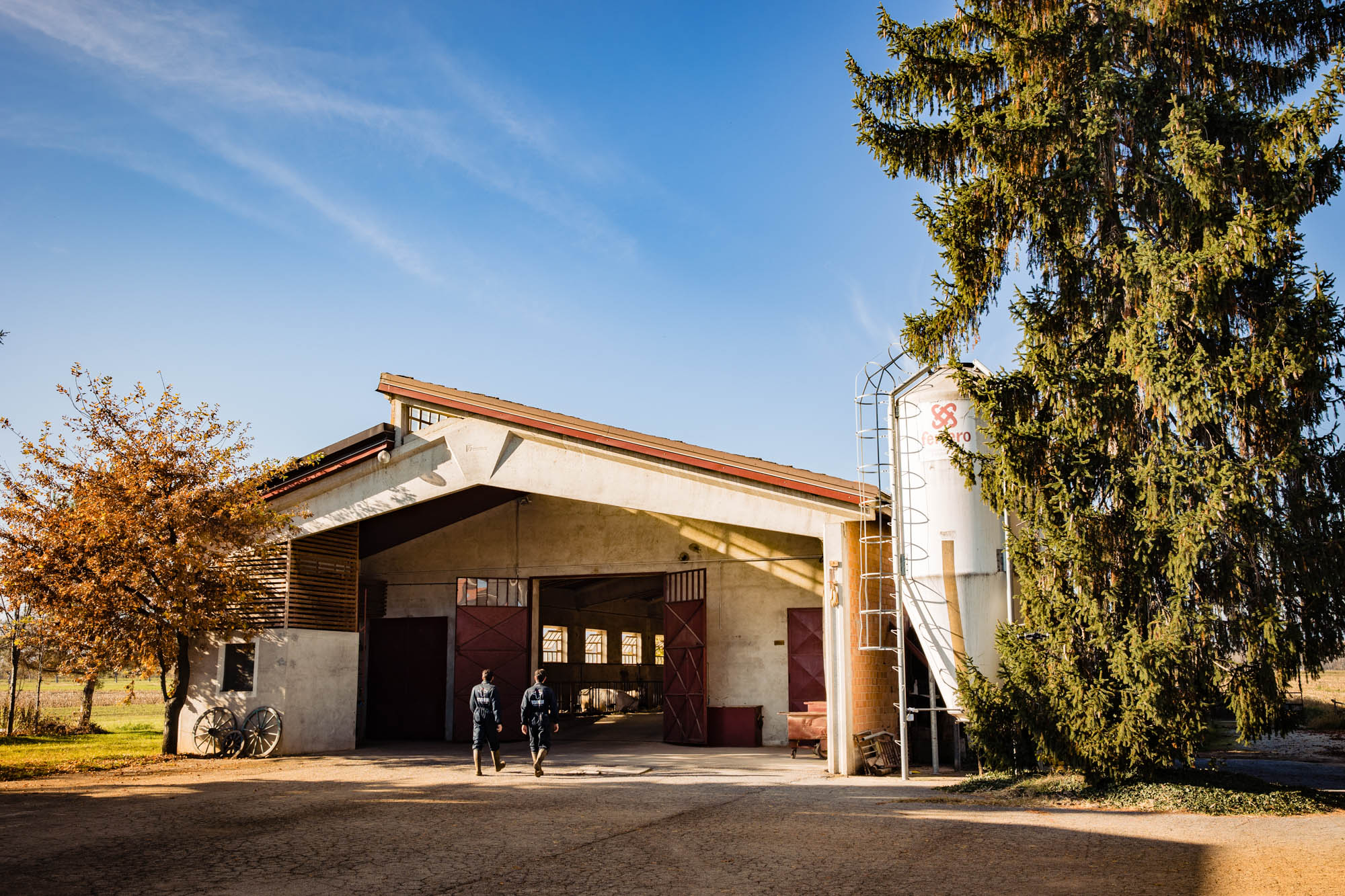 BESIMAUDA AZIENDA AGRICOLA
