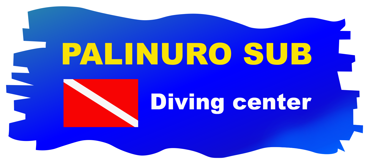PALINURO SUB DIVING CENTER